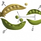 Google's Pea Pods Doodle Celebrates Gregor Mendel, the Father of Genetics