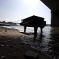 Grand Piano Mysteriously Appears Under New York’s Brooklyn Bridge