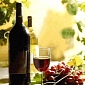 Grapes, Red Wine Hold the Key to Fighting Prostate Cancer