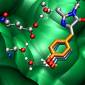 Green Fluorescent Proteins Work Better with Vibrations