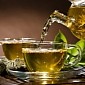 Green Tea Can Lower Pancreatic Cancer Risk, Evidence Suggests