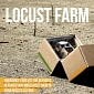 Green Tip: Get the Locust Farm, Grow Insects for Dinner