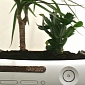 Green Tip: Old Xboxes Make Excellent Planters