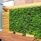 Green Walls Could Reduce Air Pollution in Urban Areas by 30%