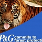 Greenpeace Applauds P&G's No-Deforestation Policy, Also Criticizes It