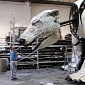 Greenpeace Is Building a Polar Bear the Size of a Double-Decker Bus