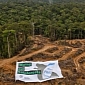 Greenpeace Stages Anti-P&G Protest in Indonesia