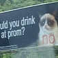 Grumpy Cat Lends Image to Campaign Against Underage Prom Drinking