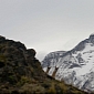 Guanacos Photobomb Patagonian Mountain Landscape Photo