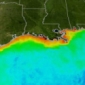 Gulf of Mexico 'Dead Zone' More Severe than Thought