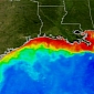 Gulf of Mexico 'Dead Zone' Will Be Massive