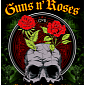 Guns N' Roses Announces New South American Tour in 2014