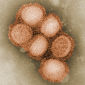 H1N1 Might Mutate into More Dangerous Form