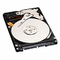 HDD Demand to Drop by 11% in Q3 2012, Western Digital Predicts