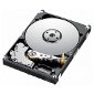 HDD Sales Won't Fall On-Year in 2011