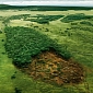 HSBC, World's Third Largest Bank, Accused of Financing Deforestation