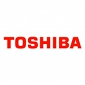 Hacker Leaks User Accounts from Toshiba's Website