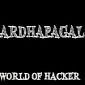 Hackers Around the World: A ‘Half Mad’ Nepali Hacktivist