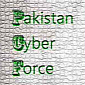 Hackers Around the World: No Site Is Safe from This Pakistani Ghost