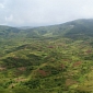 Haiti Readies to Plant Millions of Trees
