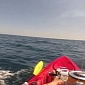 Hammerhead Shark Takes Fisherman on a “Sleigh” Ride