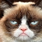 Happy Birthday, Grumpy Cat! The Most Famous Unhappy Feline Turns Two