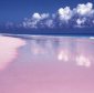Have You Ever Seen a ...Pink Beach?