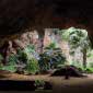 Hawaii Fossil Treasure Cave Explored