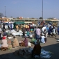 Health Crisis in Zimbabwe Revealed by Cholera Outbreak