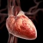 Heart Attacks Affect Women More than They Do Men