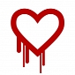 Heartbleed Affects Canada's Tax-Filing System and TurboTax