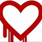 Heartbleed Bug Affects Mobile Apps, Android 4.1.1 Too