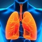 Heavy Drinking Found to Damage the Lungs