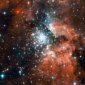 "Heavyweight" Stars, Investigated by Hubble