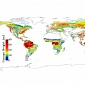 Height of Earth's Forests Mapped