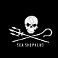 Winners of Sea Shepherd's “From Cove to Captivity” Contest Announced