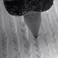 Here's How Vinyls Look in Slow Motion, Under the Electron Microscope - Video