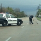 Hero Cop Shuts Down Highway to Save Little Dog – Photo