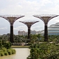 High-Tech Solar-Powered Trees Planted in Singapore