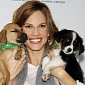 Hilary Swank Rescues Romania's Stray Dogs