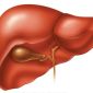 Hopes for Patients Suffering from Deadly Liver Diseases