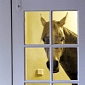 Horse Receives Shelter in House During Storm, Won't Leave Now