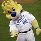 Hot Dog Injury Lawsuit: Fan Takes Kansas City Royals and Mascot to Supreme Court