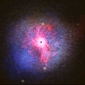How Black Holes Prevent Star Formation in Elliptical Galaxies