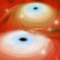 How Merging Black Holes Devour Stars