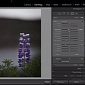 How to Use the Radial Filter Tool in Adobe Lightroom 5