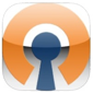 How to Use OpenVPN on iPhone or iPad