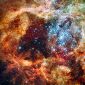 Hubble Captures Festive View in the Large Magellanic Cloud
