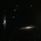 Hubble Images Distant, Exclusive Group of Galaxies