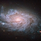 Hubble Images Near-Perfect Example of a Spiral Galaxy